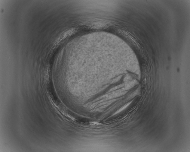 X0000085730591200704091446