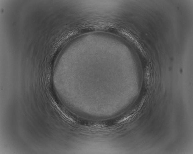 X0000085730593200704091446