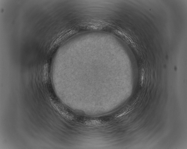 X0000085730594200704091446