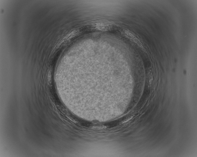 X0000085730595200704091446