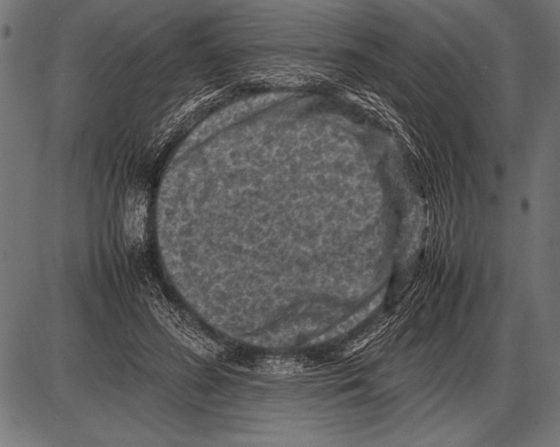 X0000085730596200704091446