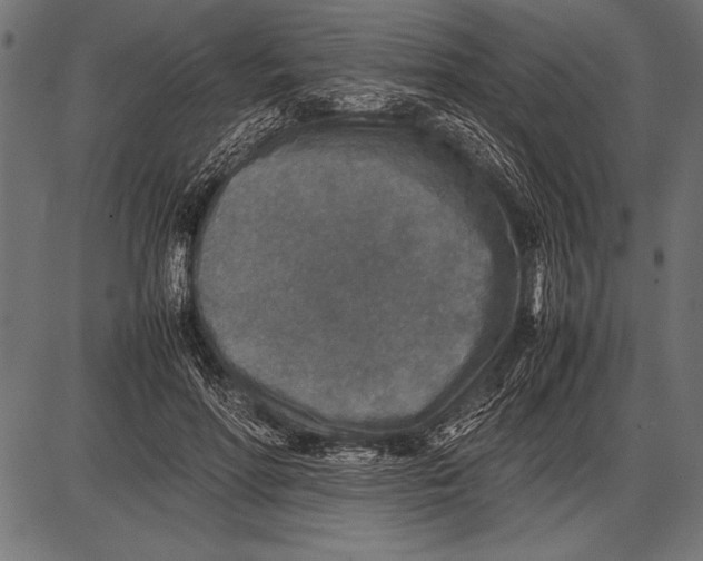 X0000085730598200704091446