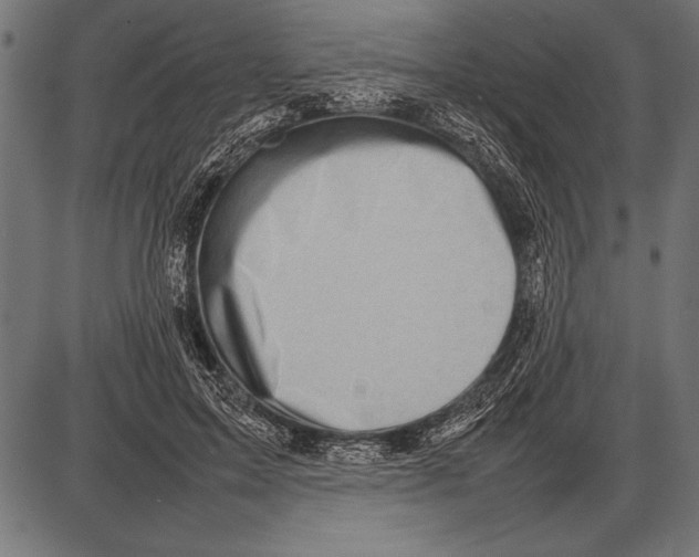 X0000085730599200704091446