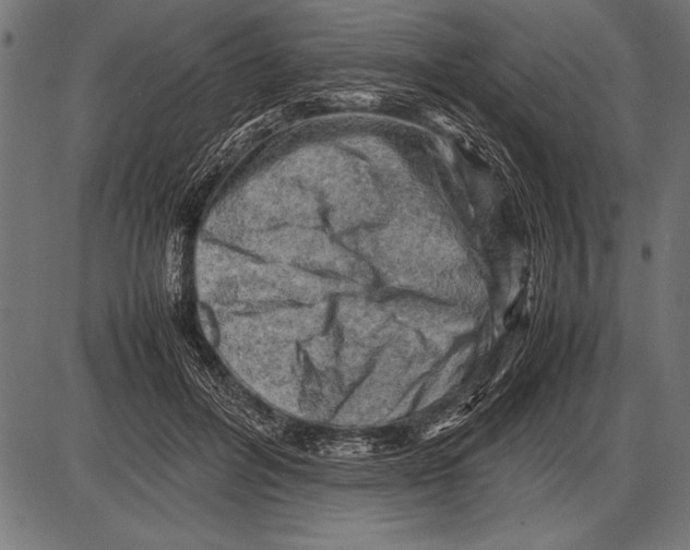 X0000085730600200704091446