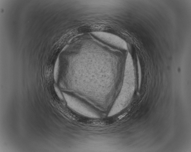 X0000085730601200704091446