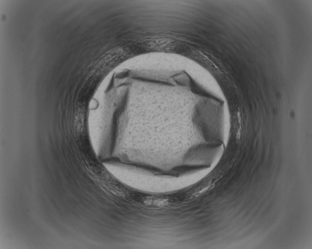 X0000085730602200704091446