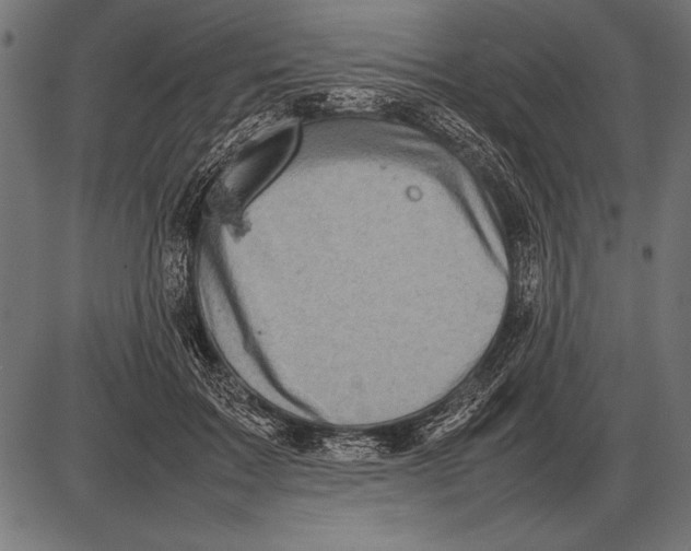 X0000085730603200704091446