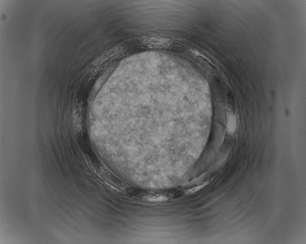 X0000085730604200704091446