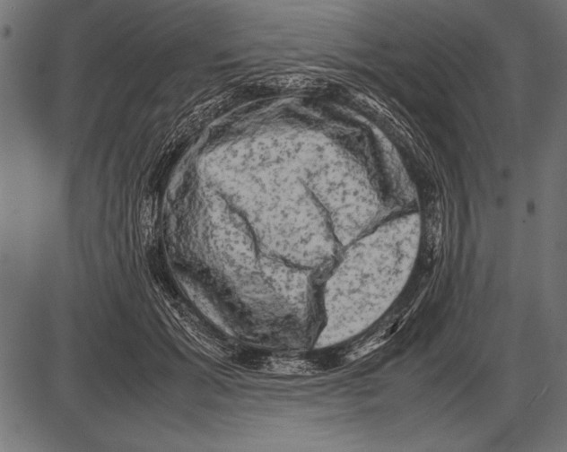 X0000085730605200704091446