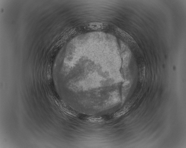 X0000085730606200704091446