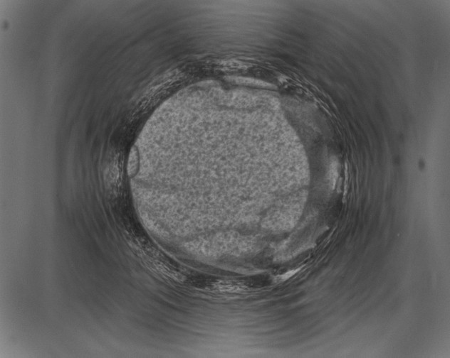 X0000085730608200704091446