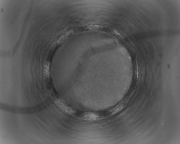 X0000085730610200704091446