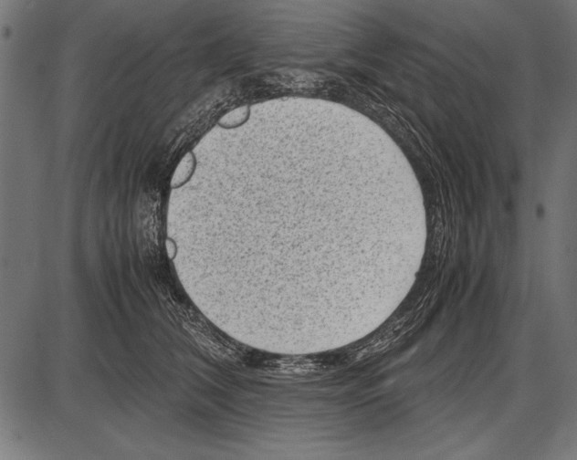 X0000085730612200704091446