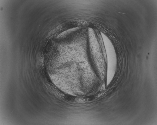 X0000085730613200704091446