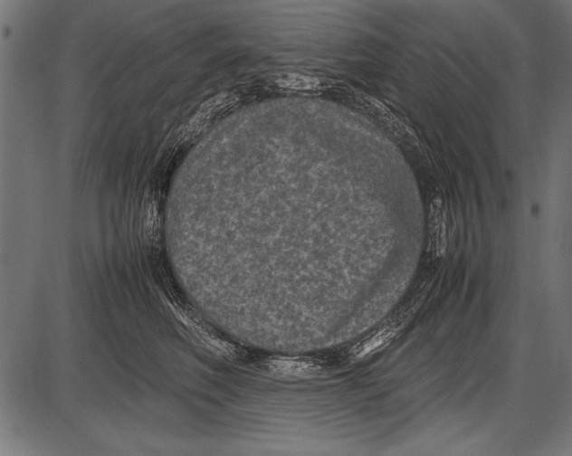 X0000085730614200704091446