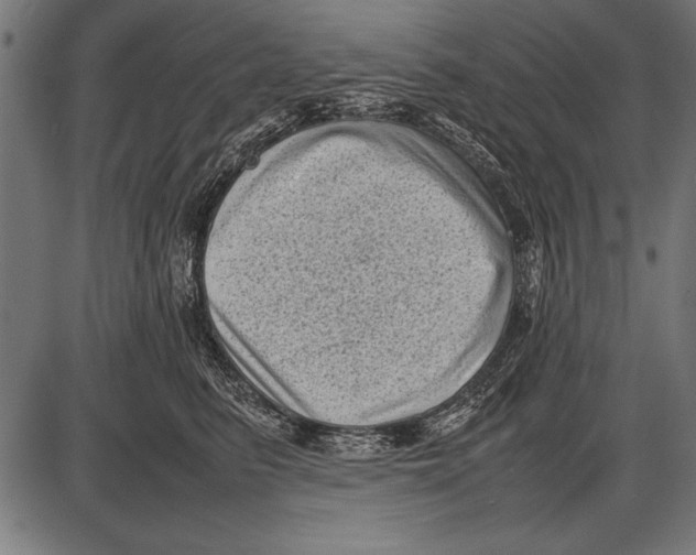 X0000085730615200704091446