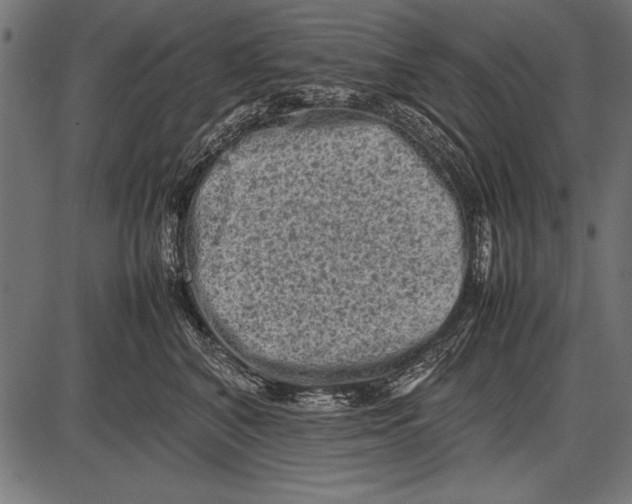 X0000085730616200704091446