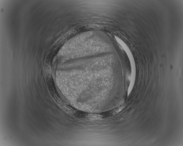 X0000085730617200704091446