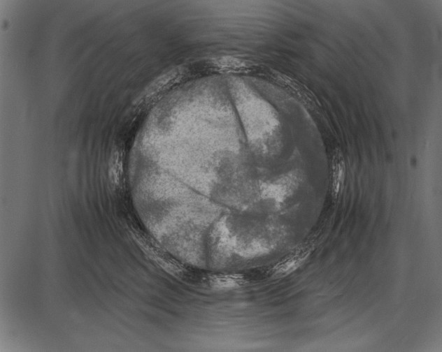 X0000085730618200704091446