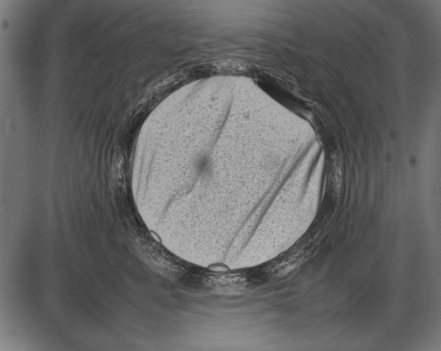 X0000085730619200704091446