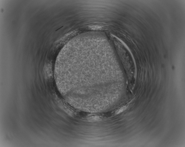 X0000085730620200704091446