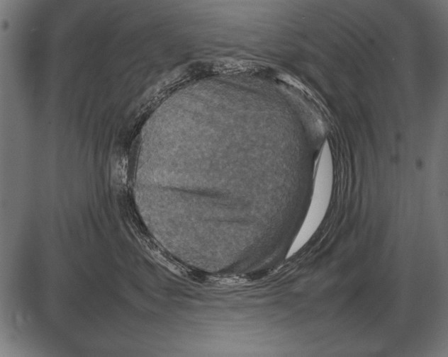 X0000085730621200704091446