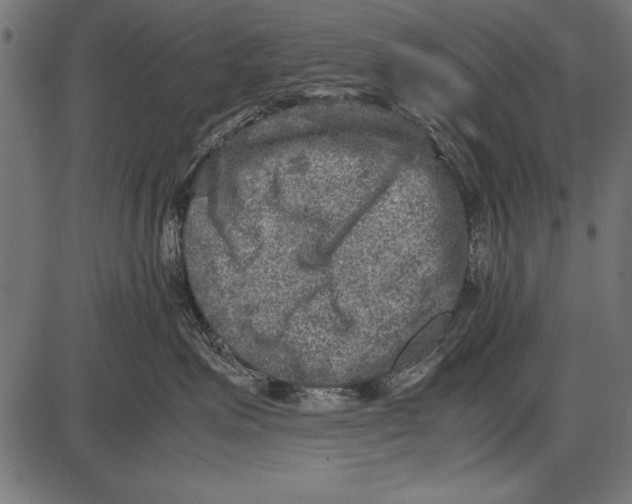 X0000085730623200704091446