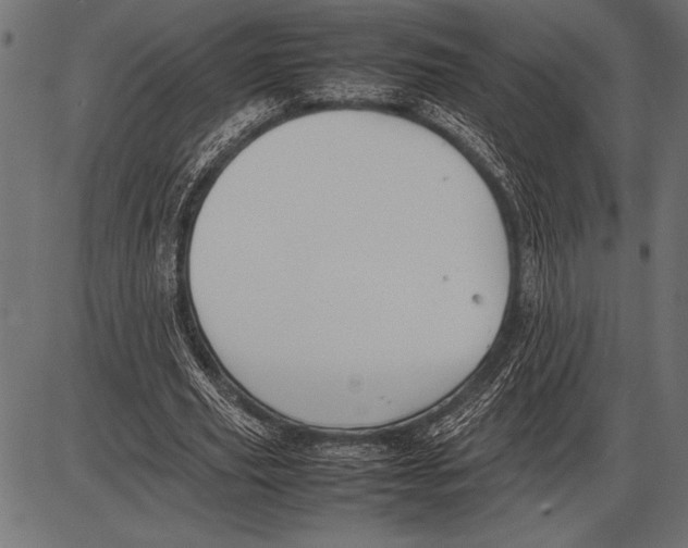 X0000085730629200704091445