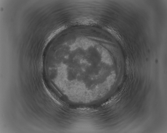 X0000085730630200704091445