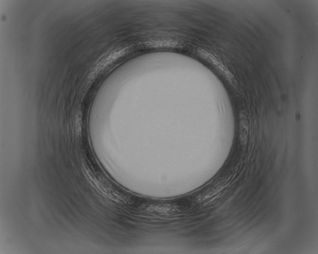 X0000085730631200704091445