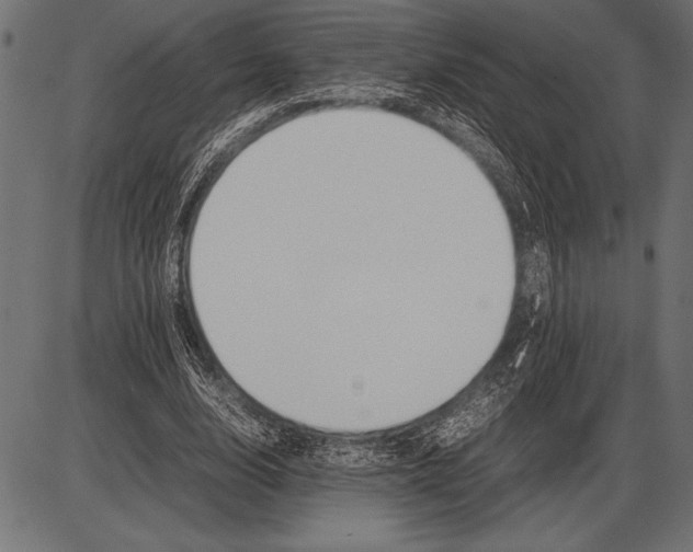 X0000085730632200704091445