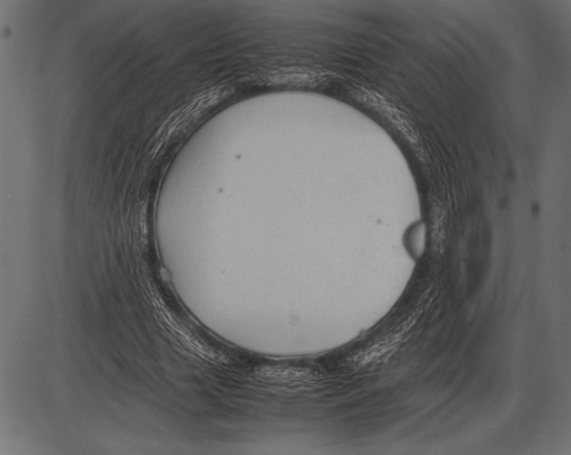 X0000085730633200704091445