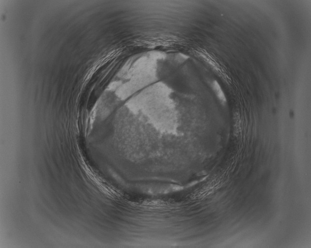 X0000085730634200704091445