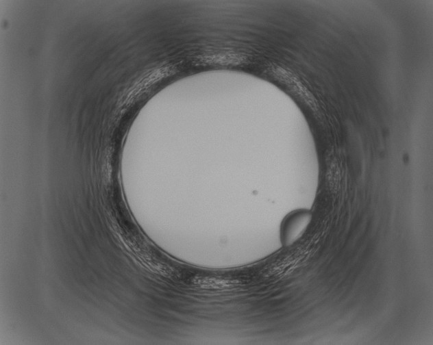 X0000085730635200704091445