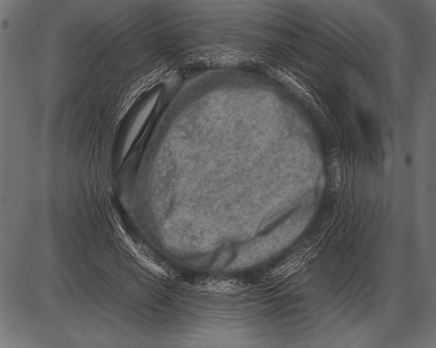 X0000085730638200704091445