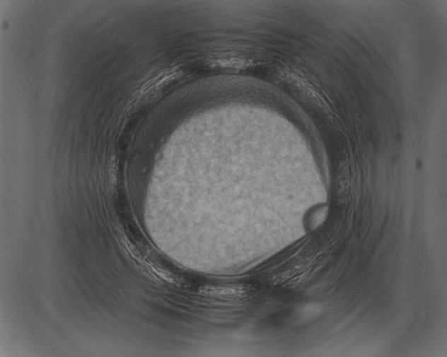 X0000085730639200704091445