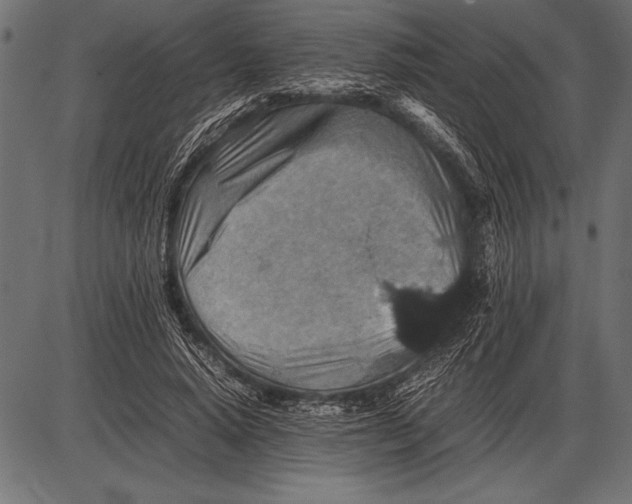 X0000085730640200704091445