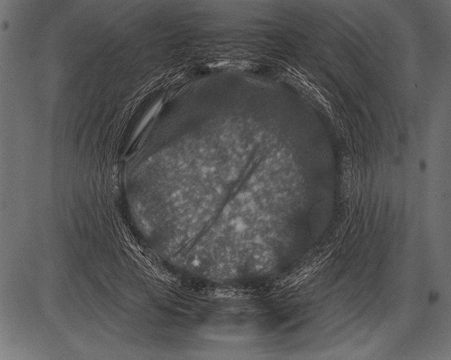 X0000085730641200704091445