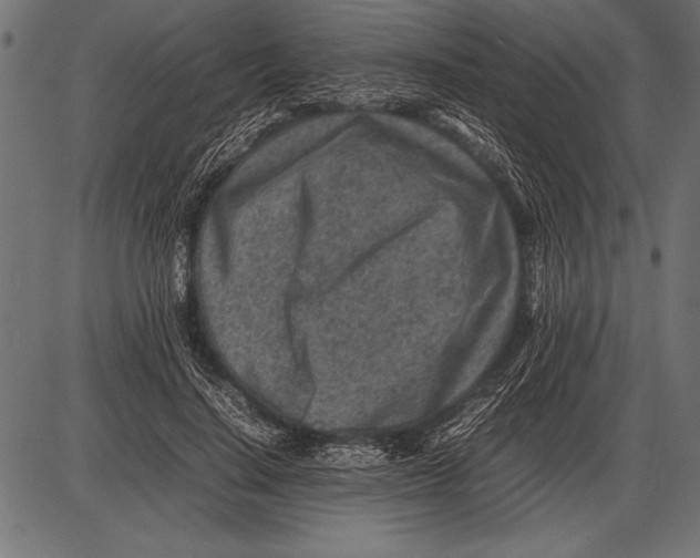 X0000085730644200704091445