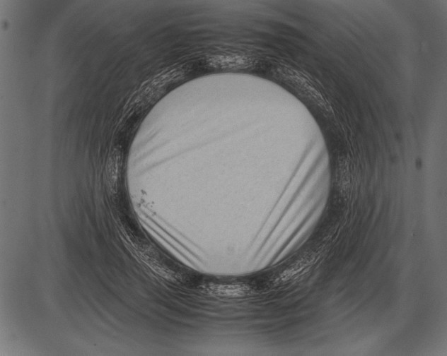 X0000085730645200704091445