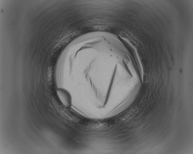 X0000085730646200704091445