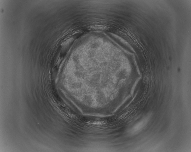 X0000085730647200704091445