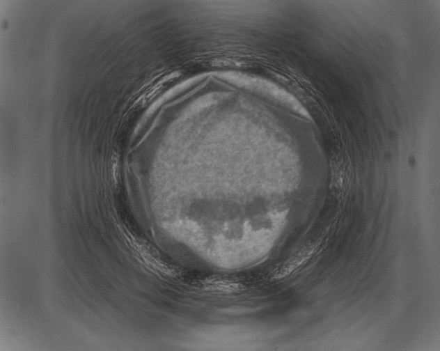 X0000085730648200704091445