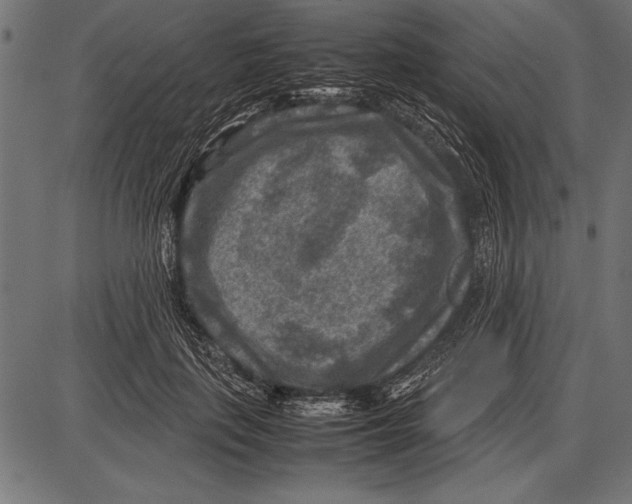 X0000085730651200704091445