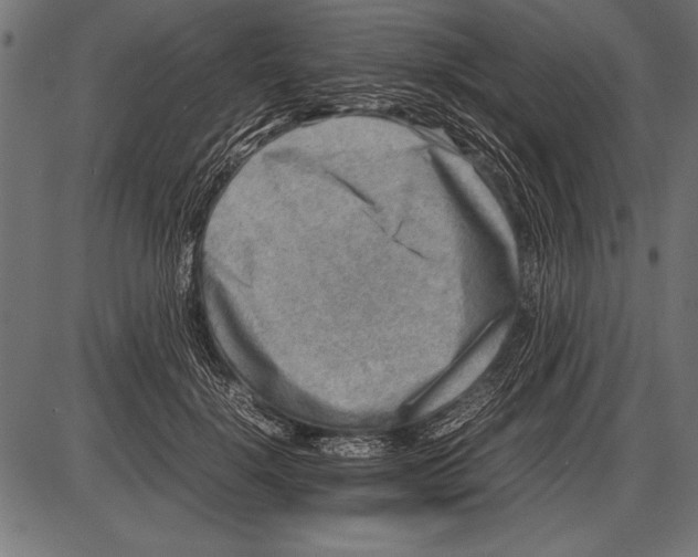 X0000085730652200704091445