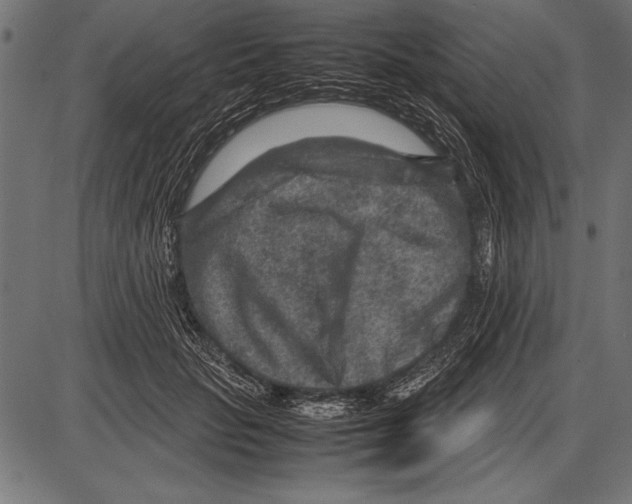 X0000085730653200704091445