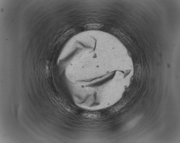 X0000085730655200704091445