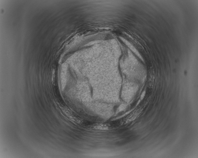 X0000085730656200704091445