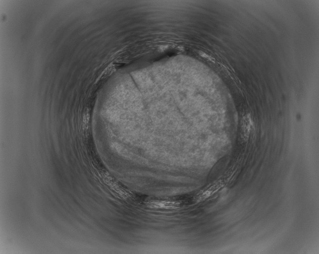 X0000085730657200704091445