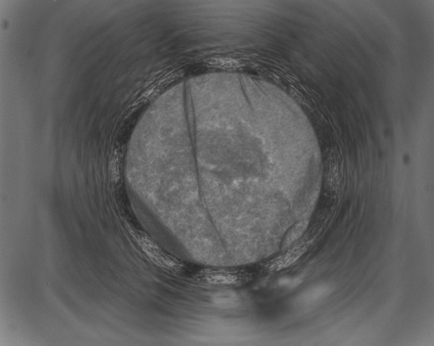 X0000085730658200704091445